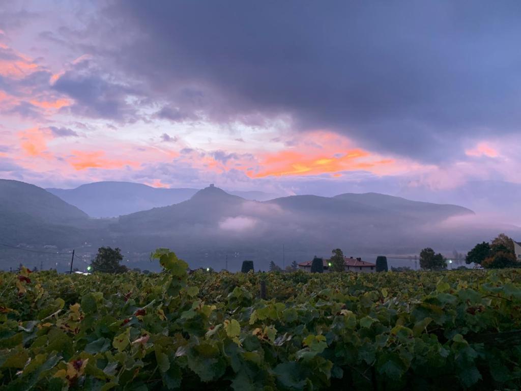 Leuchtenhof Caldaro Luaran gambar